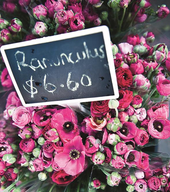 Fabulous Fleurieu-Willunga Farmers Market-crop